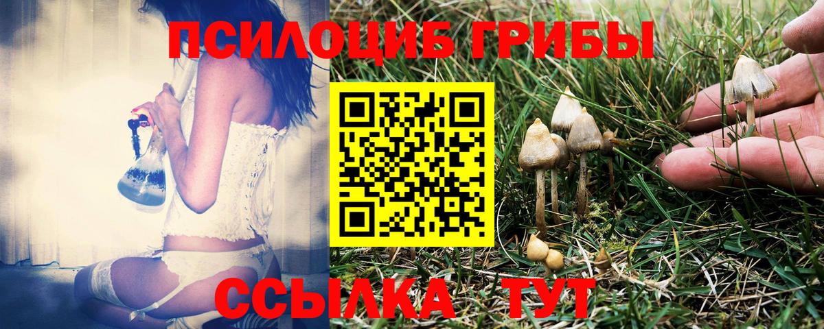 Псилоцибиновые грибы Magic Shrooms Кызыл